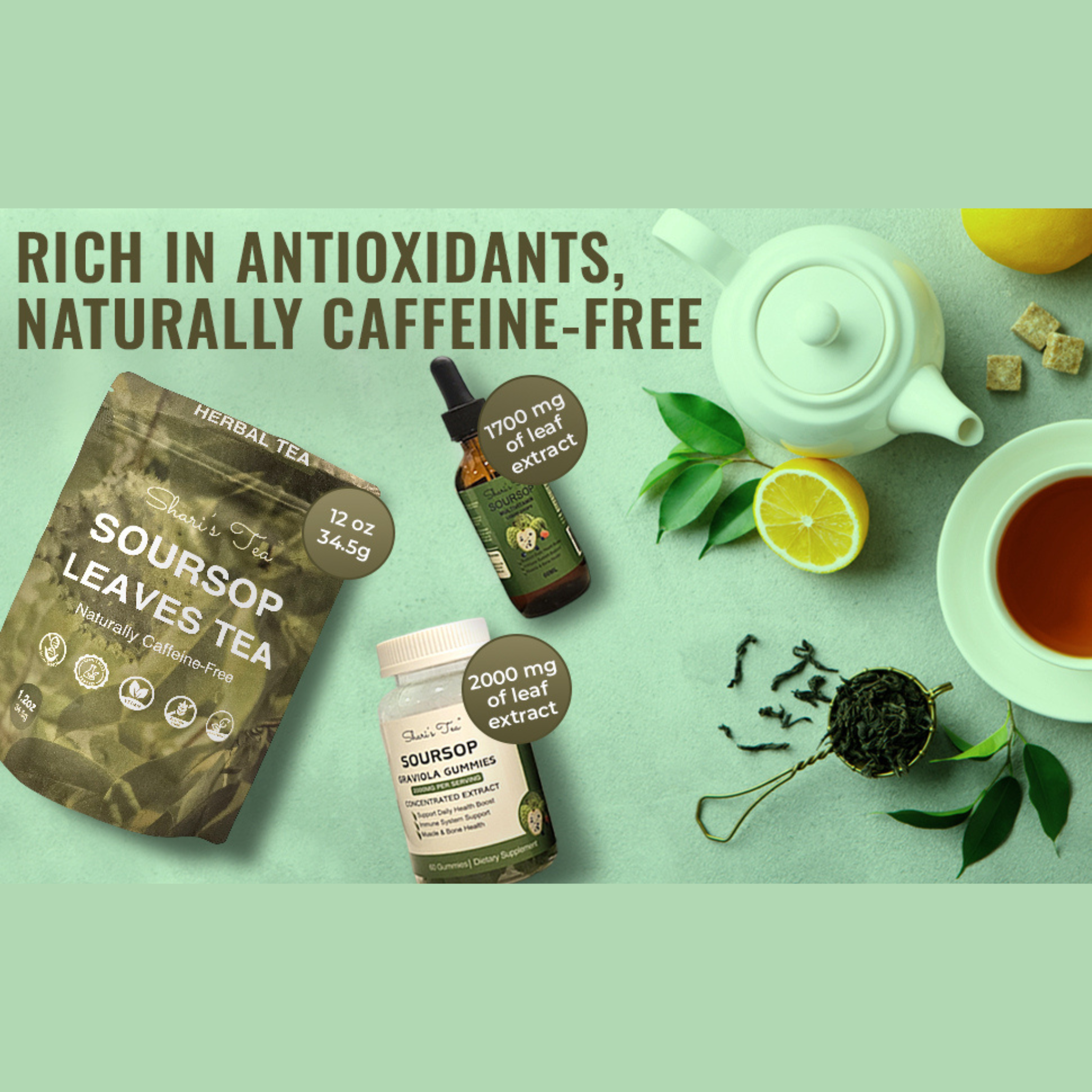 The Secrets of Soursop: The Leaf That Calms, Heals, and Restores