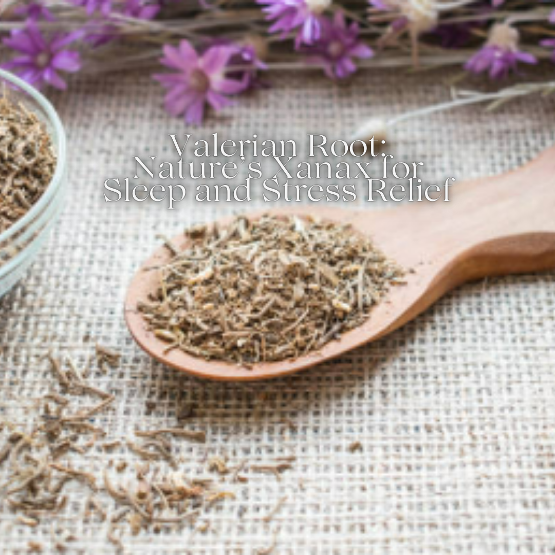 Valerian Root: Nature’s Xanax for Sleep and Stress Relief