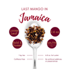 Last Mango in Jamaica Herbal Blend