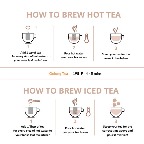 Oolong Tea Steeps for both Hot and Iced Teas